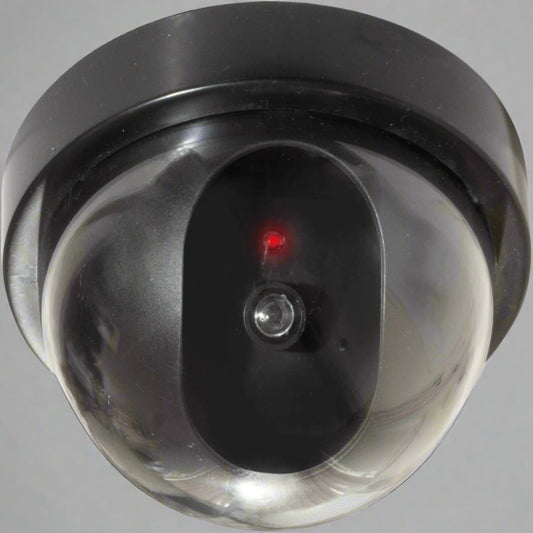 Eagle Dummy Dome Surveillance Camera-0